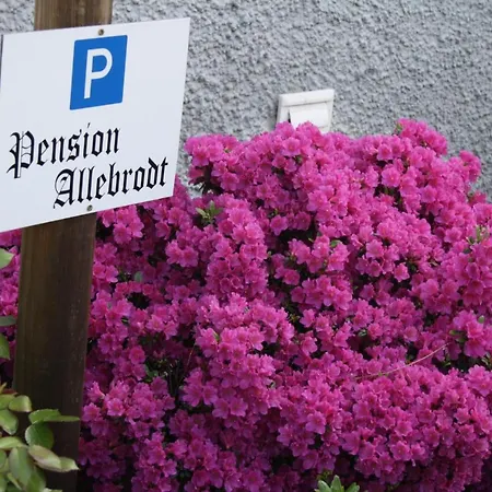 / Allebrodt Apartment Lennestadt