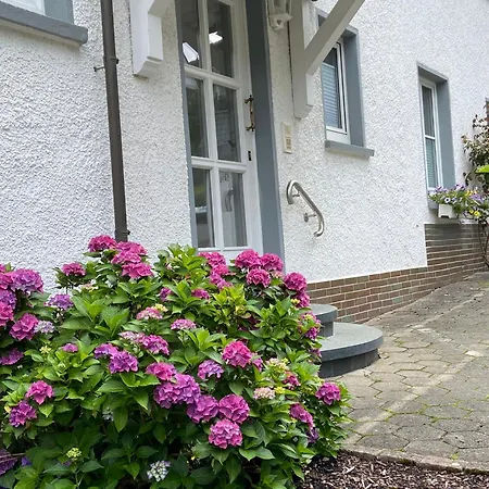 / Allebrodt Apartmán