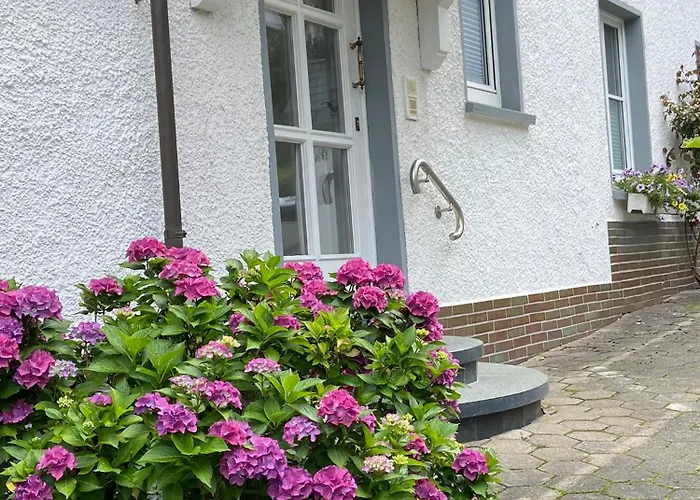 / Allebrodt Apartmán